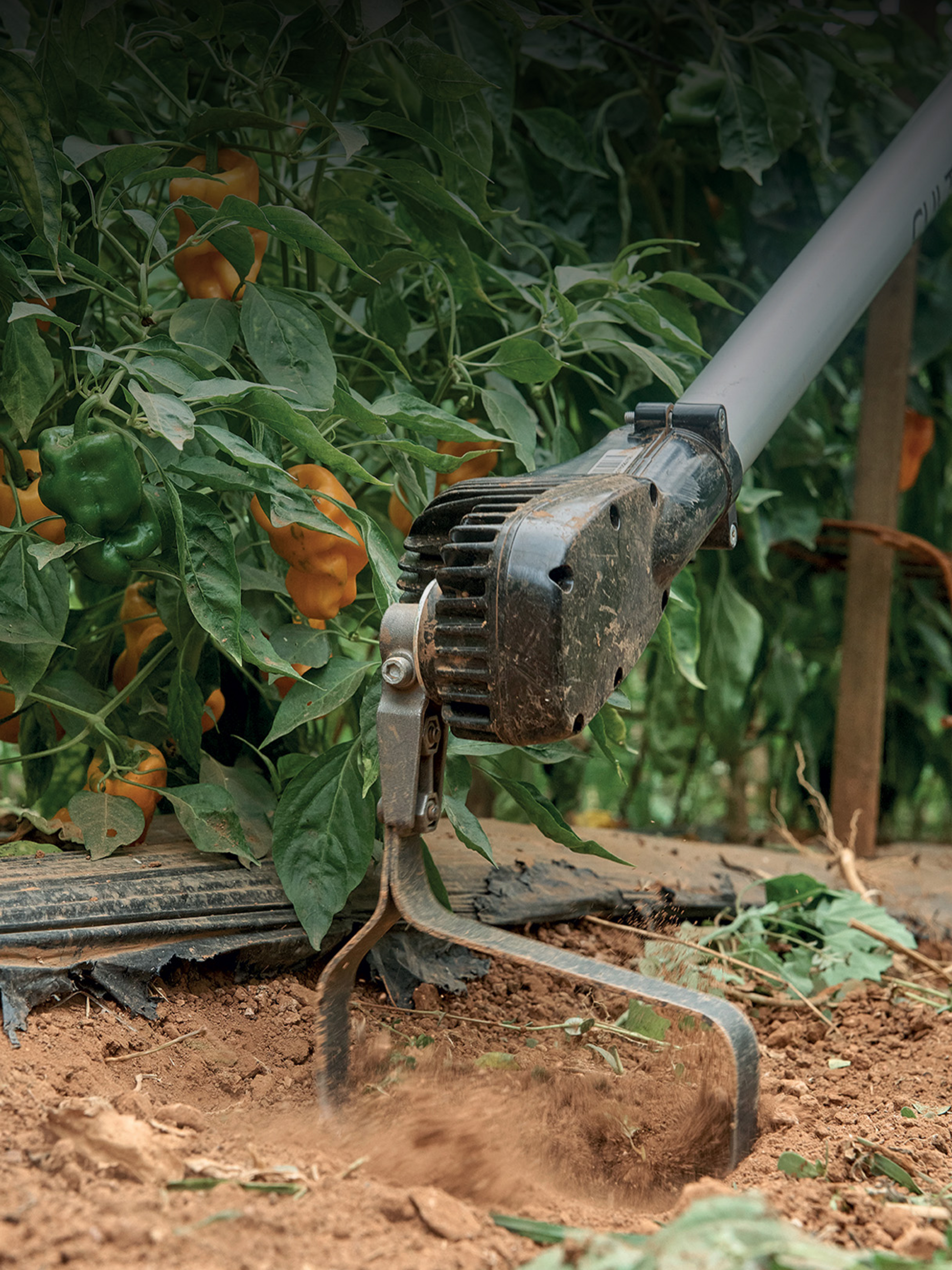 Hack- und Jätmaschine Pellenc Cultivion zum mechanischen Entfernen von Unkaut.