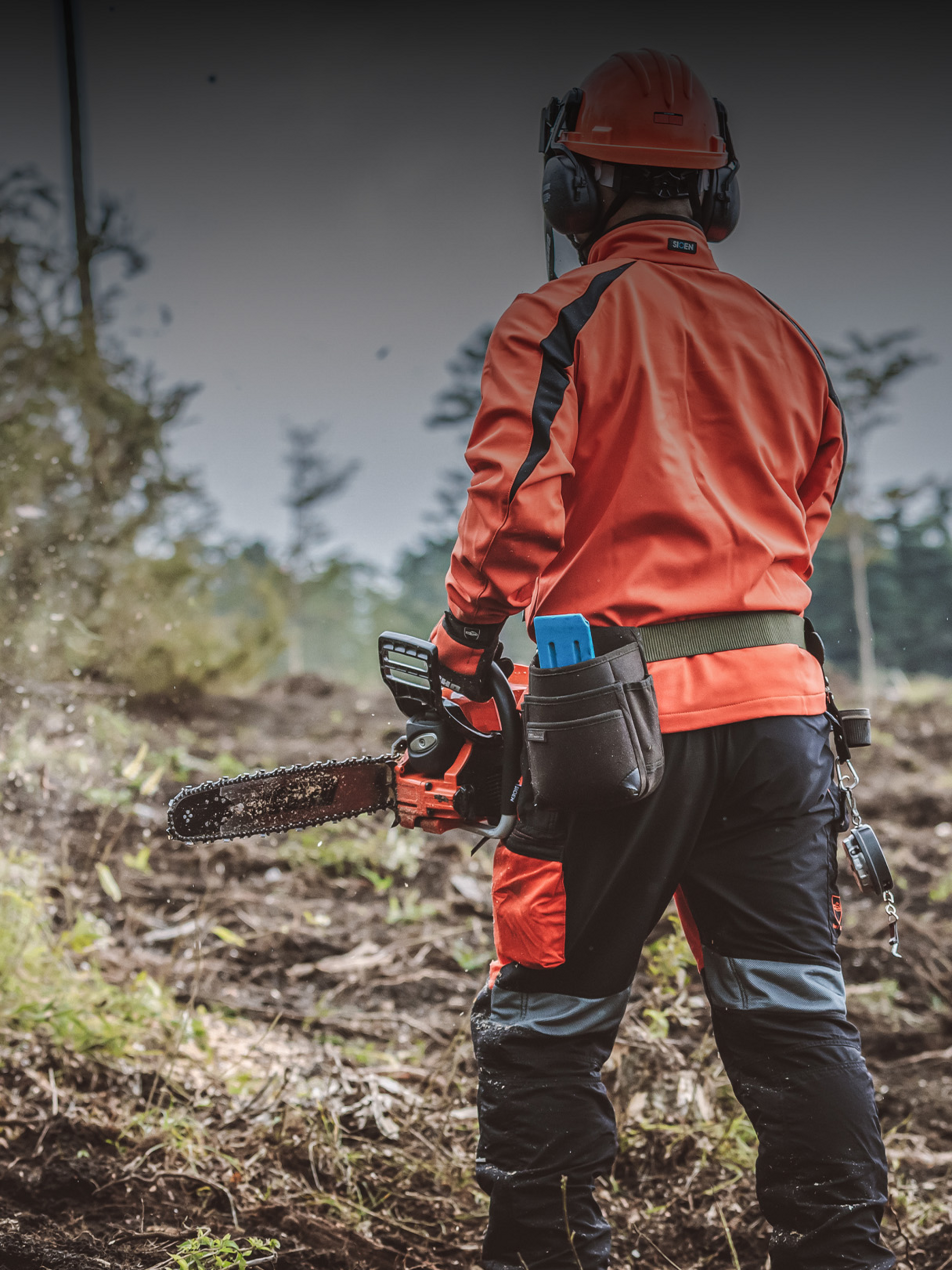 Baumpflege Echo Motorsäge im Forst-Einsatz