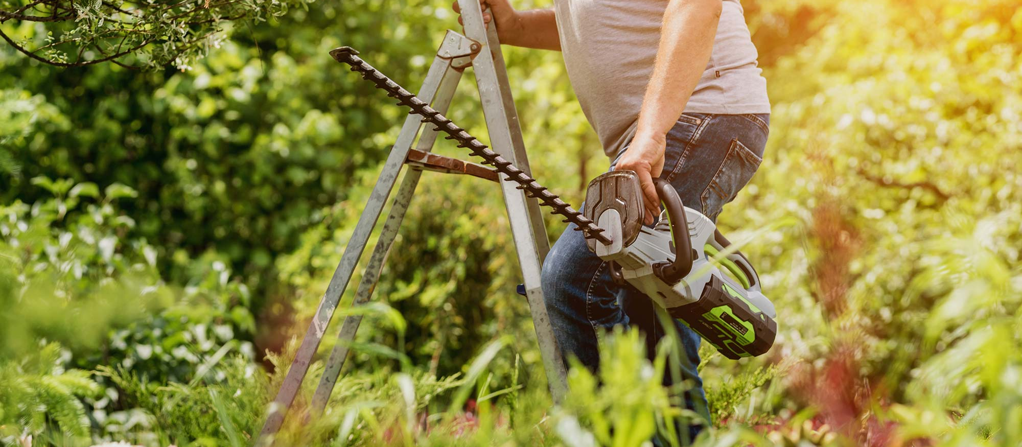 EGO Power+ Akku-Heckenschere